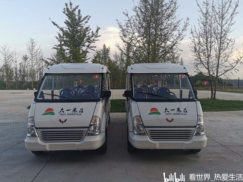 电动游览观光车多少钱一台 中了,北仑好样的